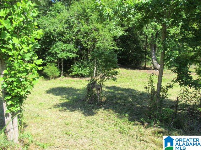 0 Choctaw Trail, Unit 10 Hayden, AL 35079 - Photo 20 of 24