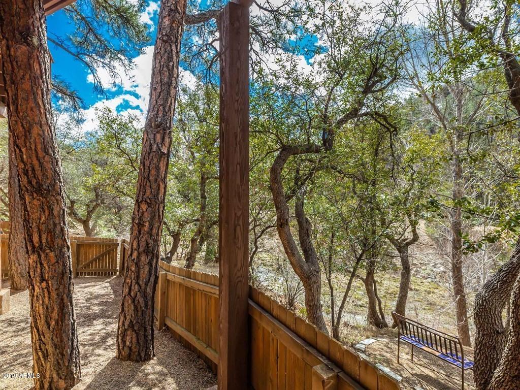 1255 Coyote Road Prescott, AZ 86303 - Photo 23 of 28 Dog Run