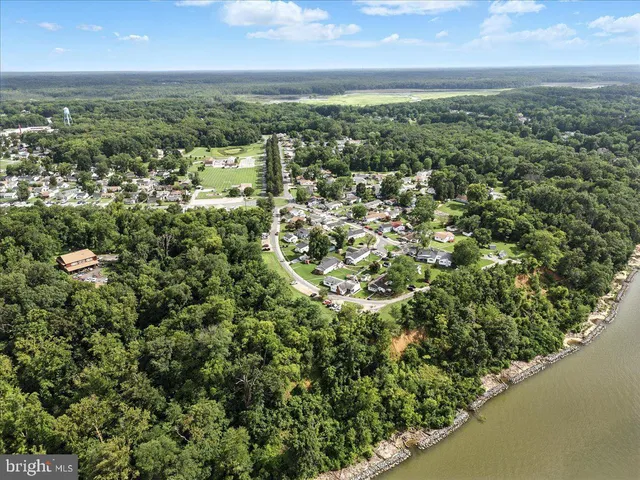 an aerial view of residential houses with outdoor space and trees