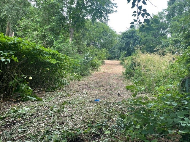 Brant Avenue Northwest Canton, OH 44708 - Photo 10 of 10 View of nature