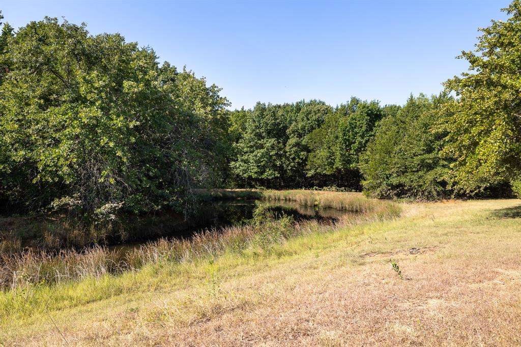 Tbd Richards Road Sadler, TX 76264 - Photo 4 of 12 Pond 1