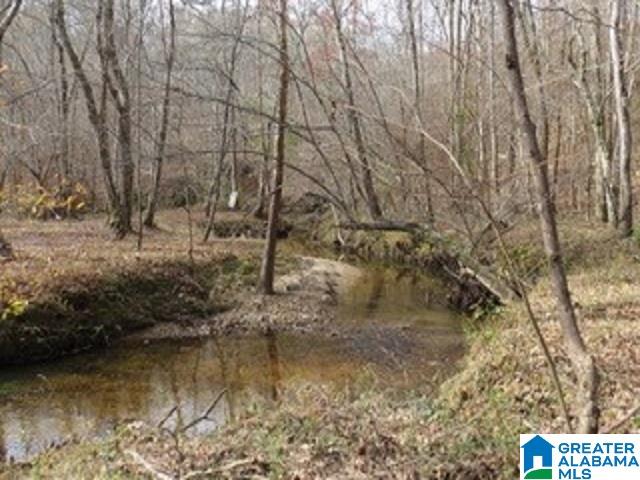436 County Road, Unit 41 87 Muscadine, AL 36269 - Photo 3 of 8