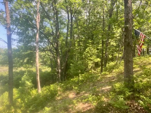 $58,000 | 6142 North Sunshine Drive, Irons, MI 49644