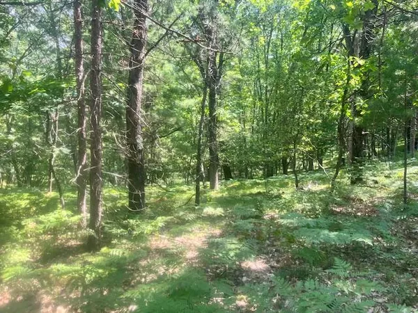 $58,000 | 6142 North Sunshine Drive, Irons, MI 49644