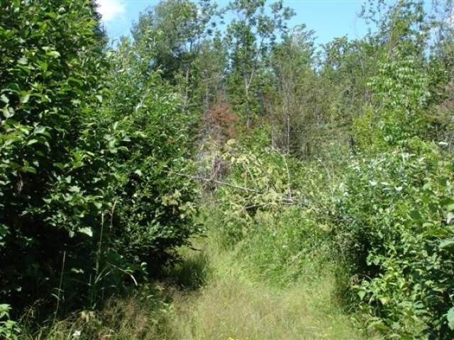 W6978 Divine Rapids Road Park Falls, WI 54552 - Photo 6 of 9 Gallery Image 6