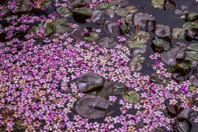 $499,000 | 3361 County Road, Windsor, VT 05089