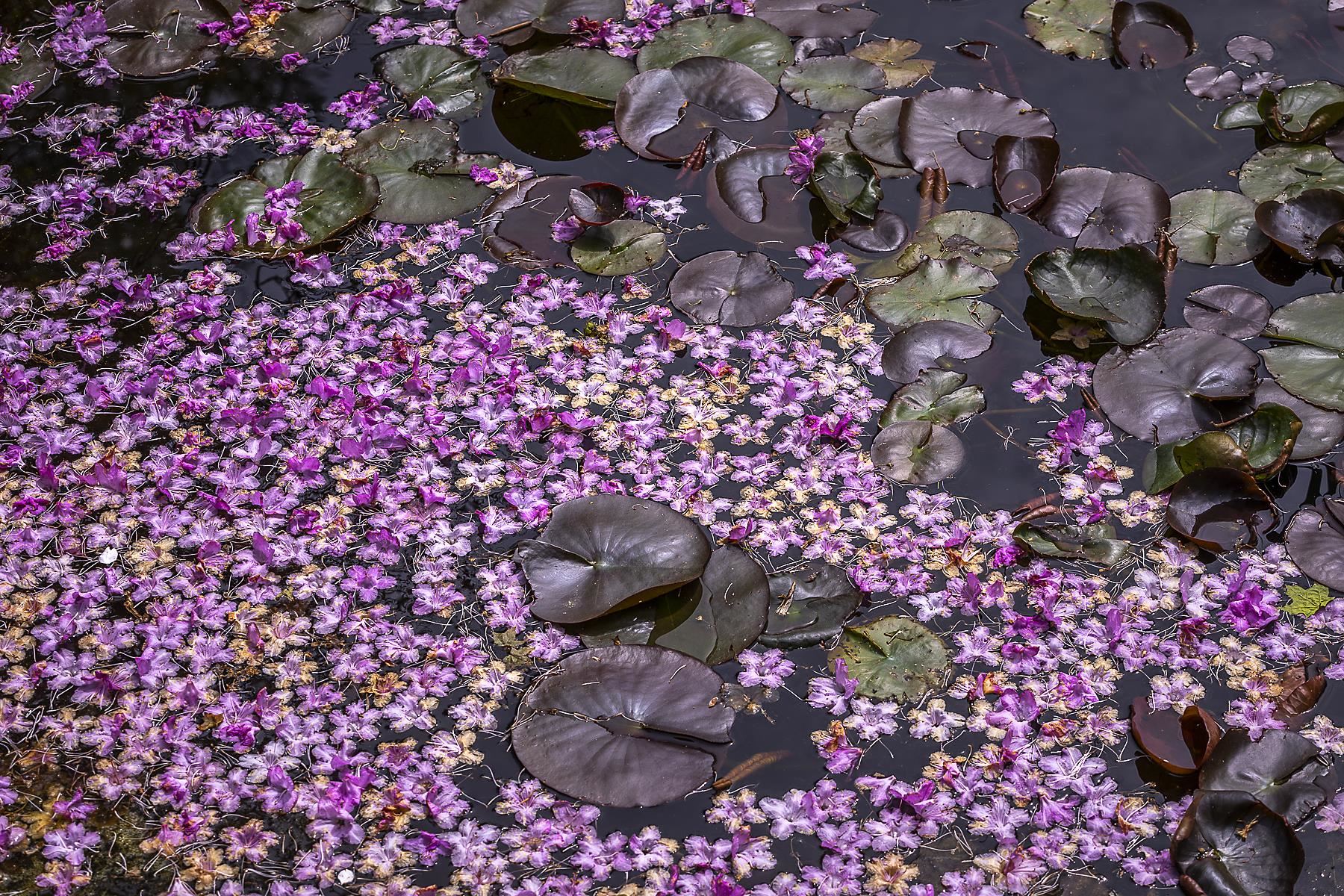 3361 County Road Windsor, VT 05089 - Photo 18 of 39