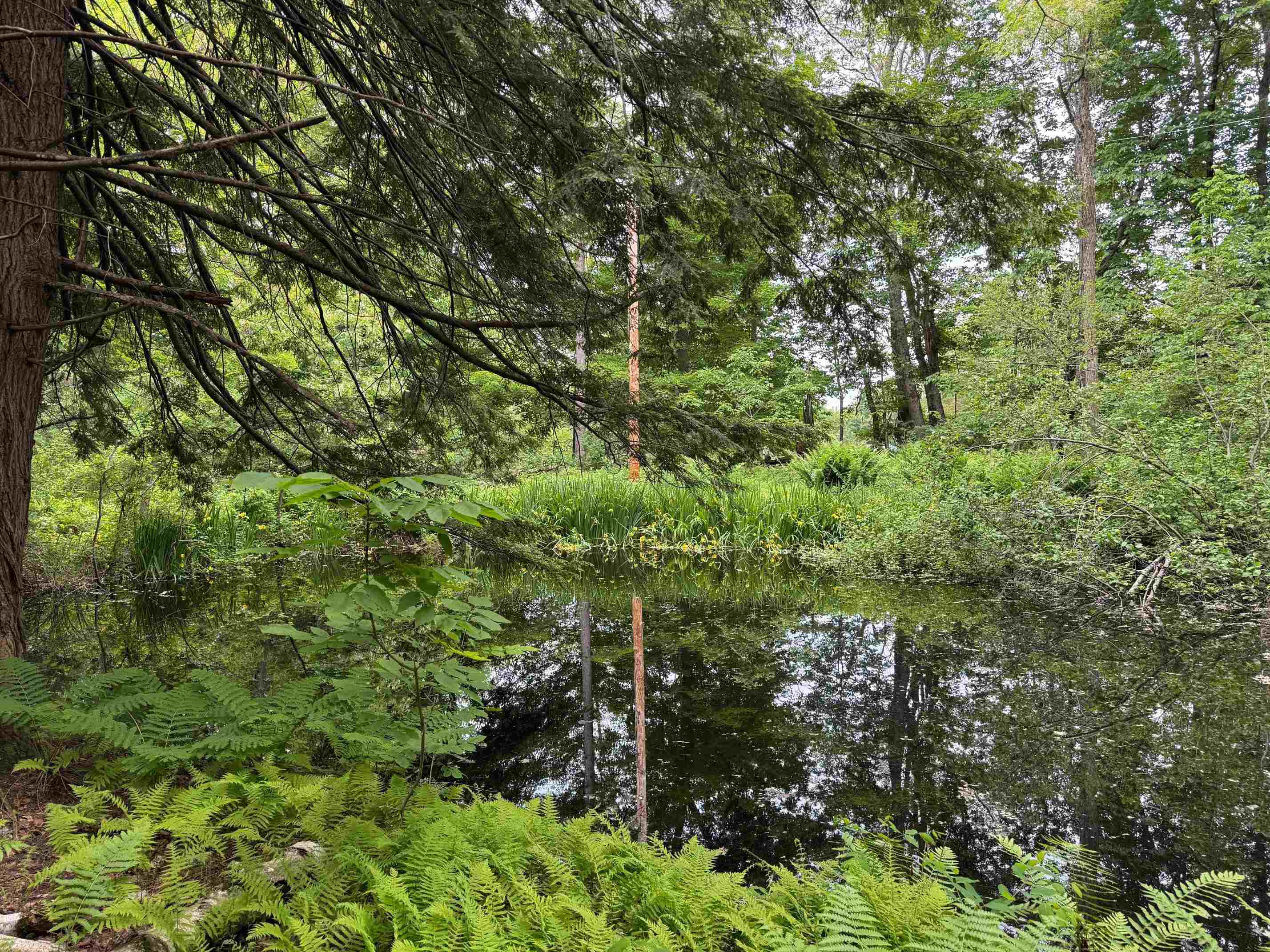 3361 County Road Windsor, VT 05089 - Photo 24 of 39