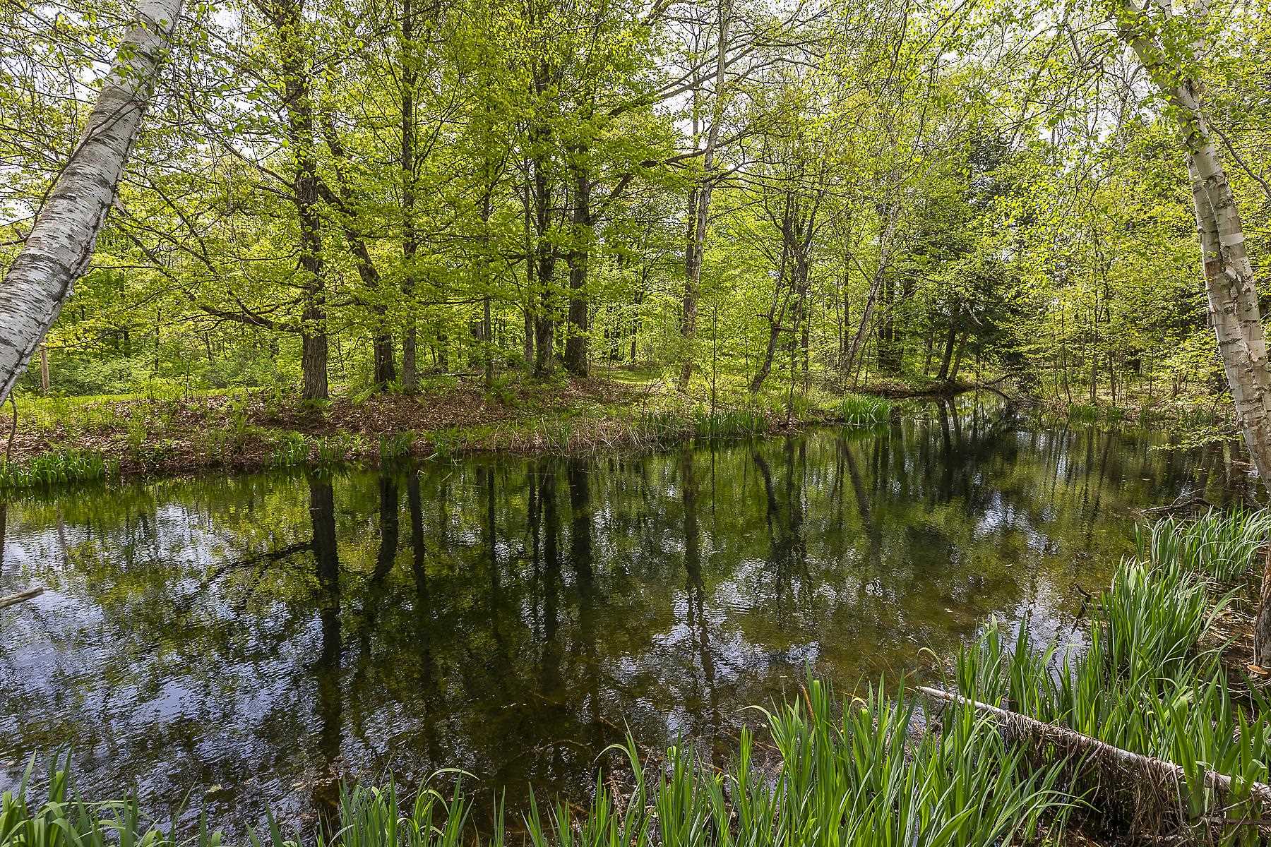 3361 County Road Windsor, VT 05089 - Photo 26 of 39