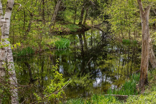 $499,000 | 3361 County Road, Windsor, VT 05089