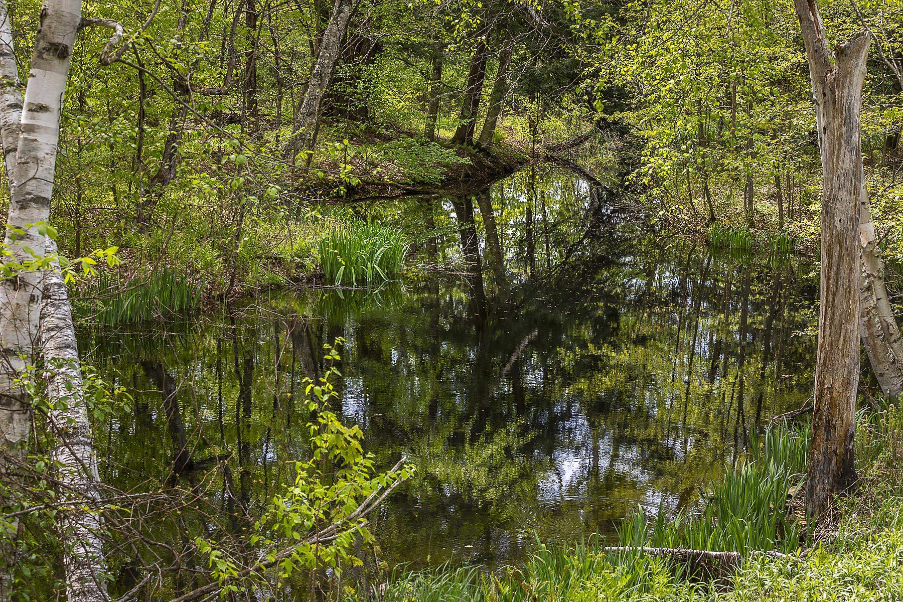 3361 County Road Windsor, VT 05089 - Photo 27 of 39