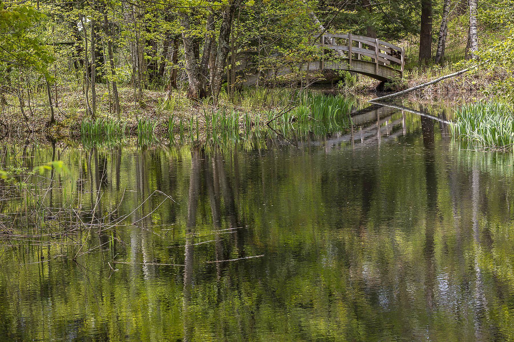 3361 County Road Windsor, VT 05089 - Photo 28 of 39
