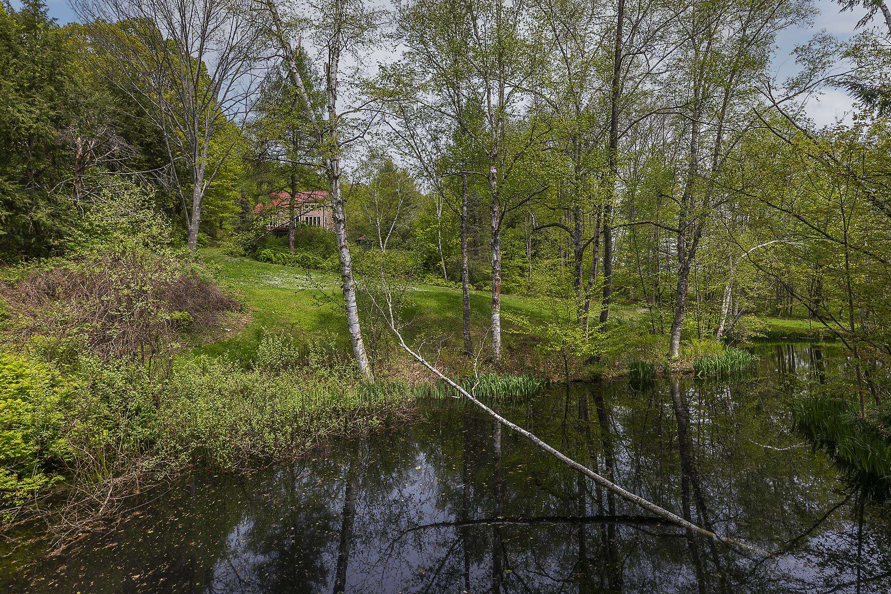 3361 County Road Windsor, VT 05089 - Photo 29 of 39