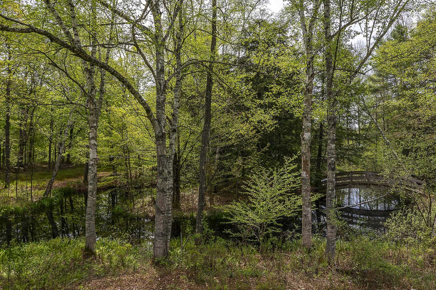 3361 County Road Windsor, VT 05089 - Photo 30 of 39