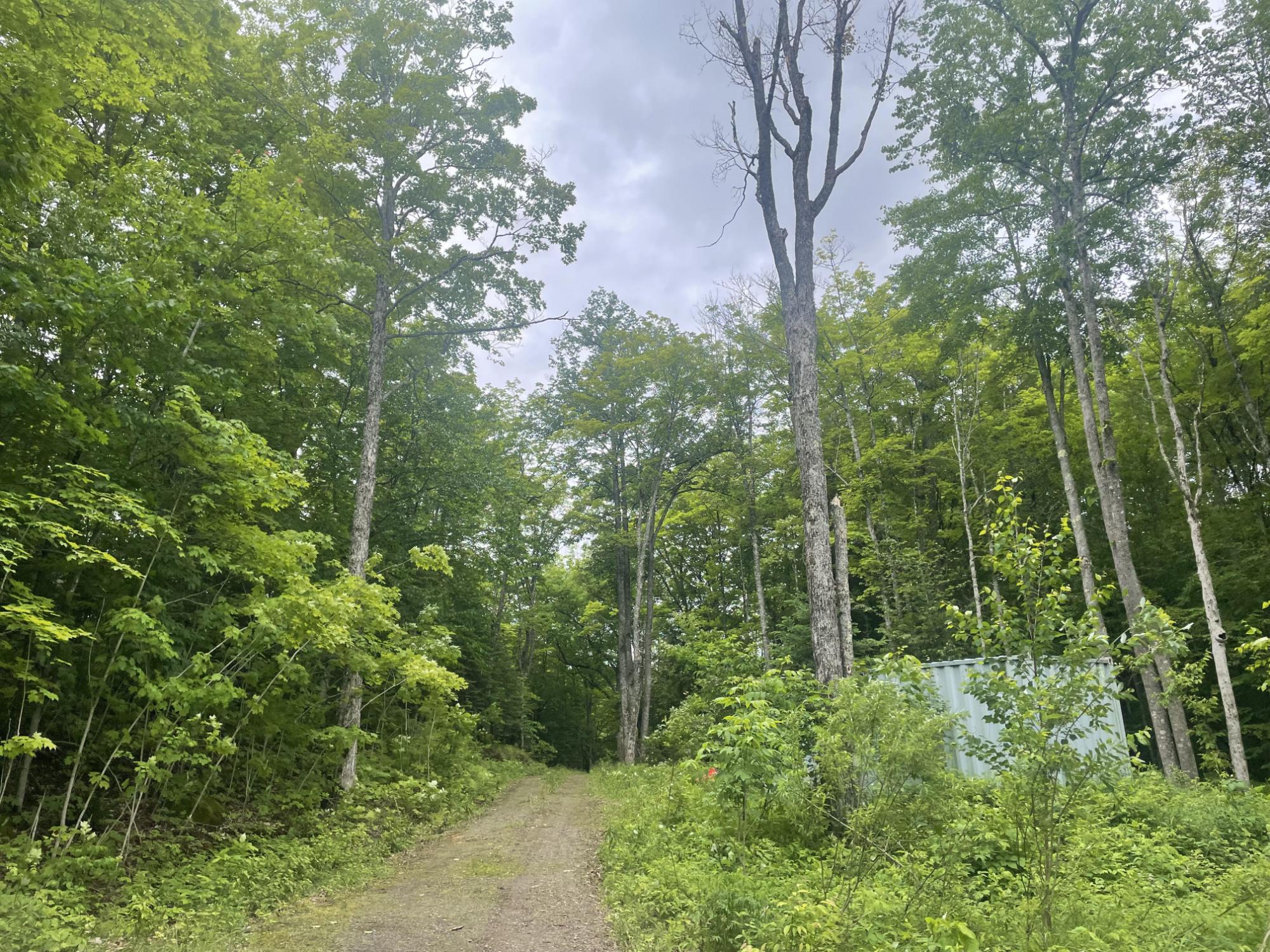 71224 Thole Road Mellen, WI 54546 - Photo 25 of 31