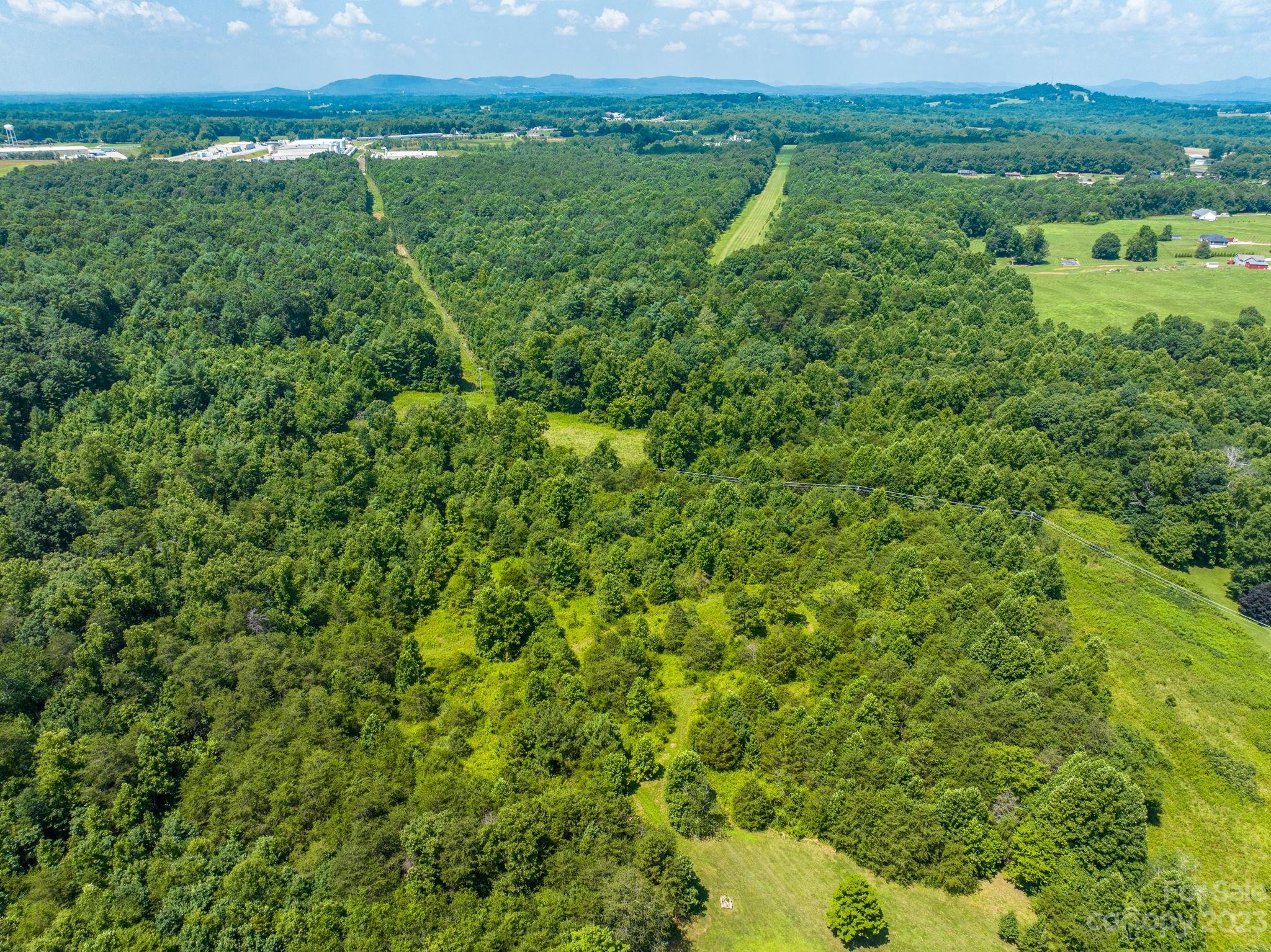 936 Goble Road Hiddenite, NC 28636 - Photo 16 of 32 a view of a lush green forest with lots of trees