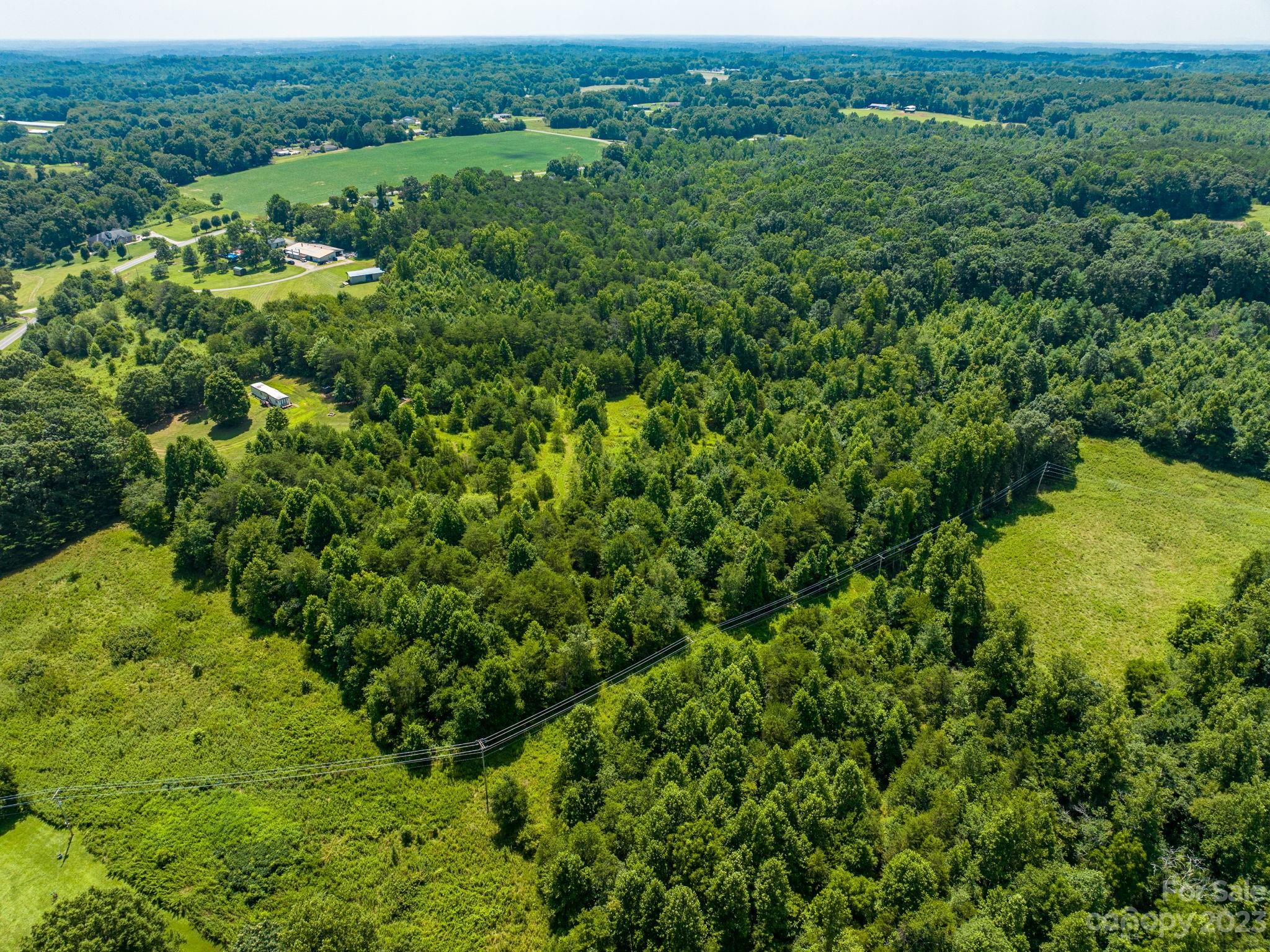 936 Goble Road Hiddenite, NC 28636 - Photo 18 of 32 a view of a lush green forest with lots of trees