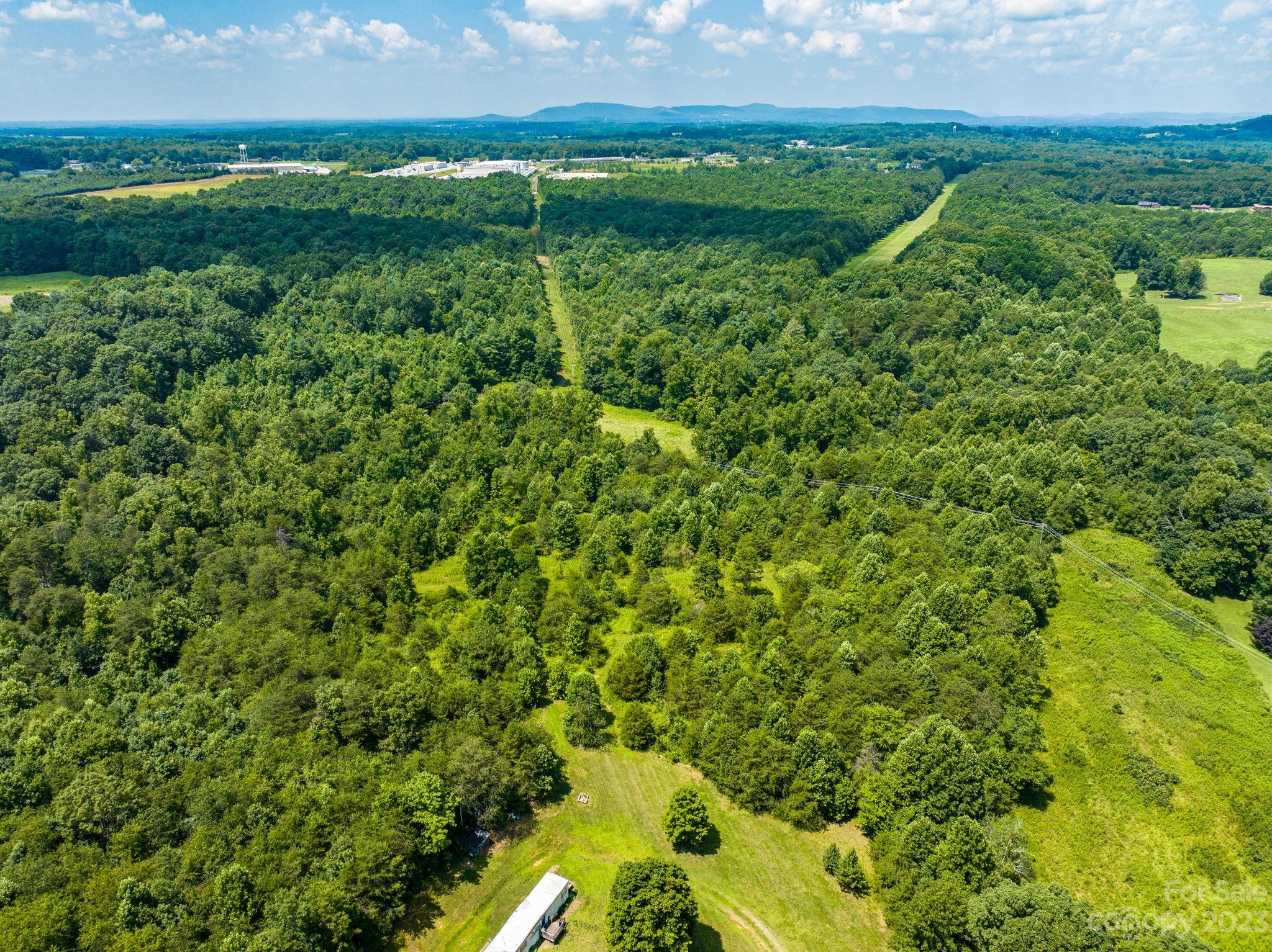 936 Goble Road Hiddenite, NC 28636 - Photo 25 of 32 a view of a big yard with large trees