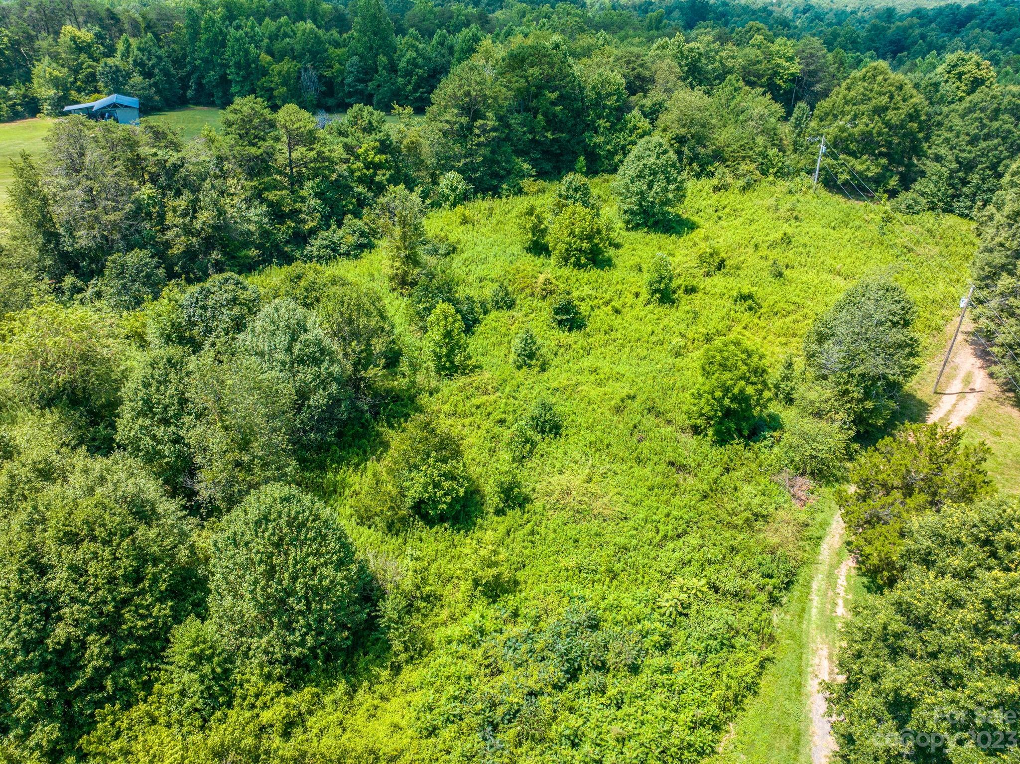 936 Goble Road Hiddenite, NC 28636 - Photo 31 of 32 a view of a lush green forest with large trees