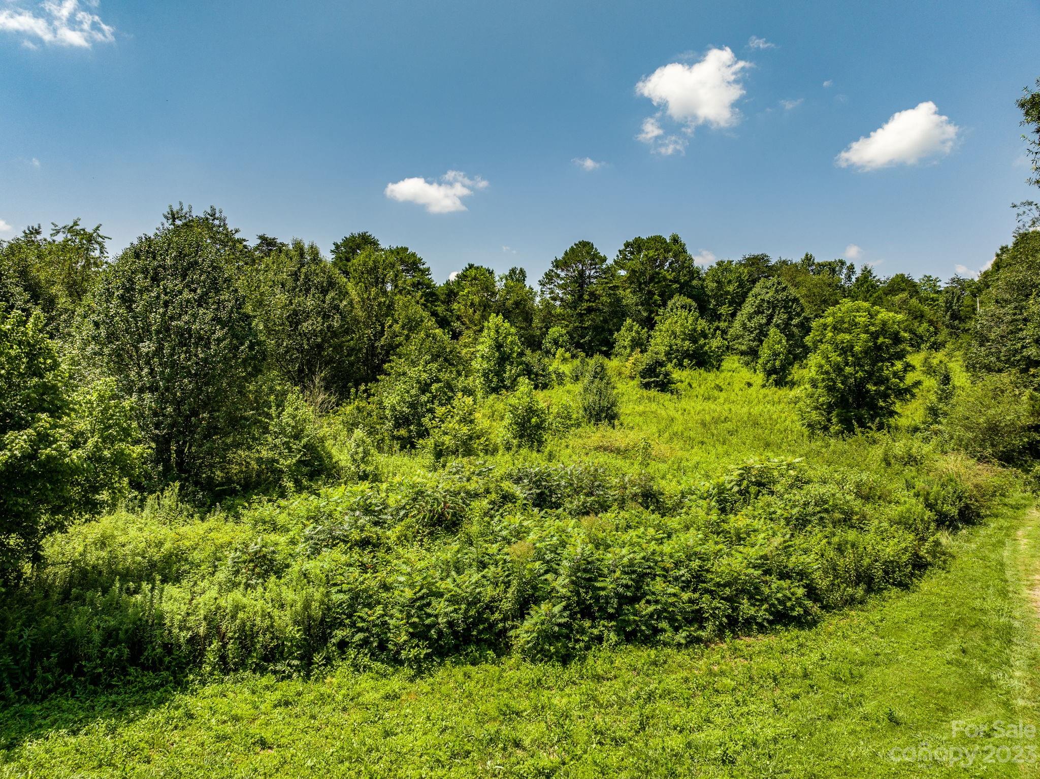 936 Goble Road Hiddenite, NC 28636 - Photo 5 of 32