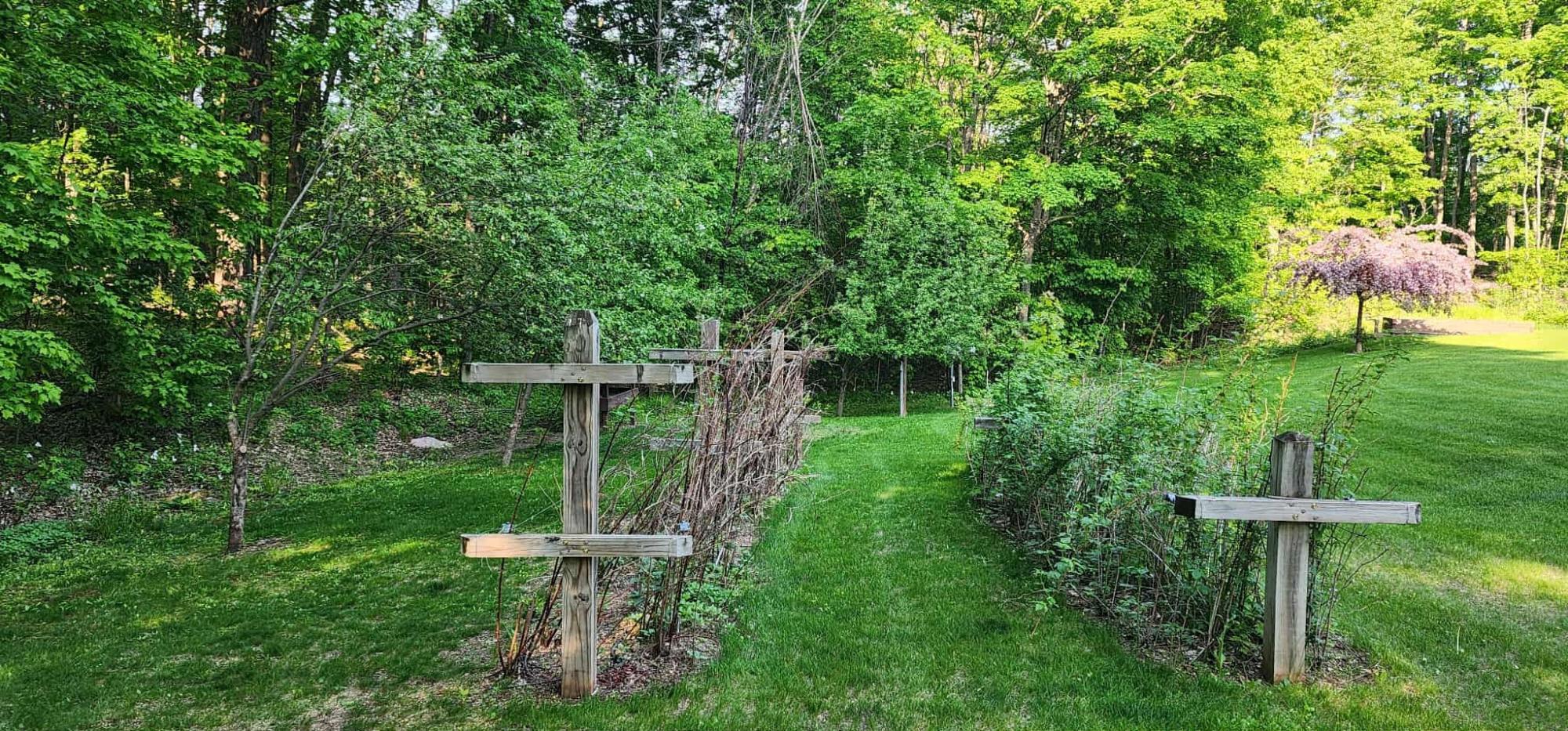 N5375 Kentwoods Road Bryant, WI 54418 - Photo 61 of 81 Gallery Image 61