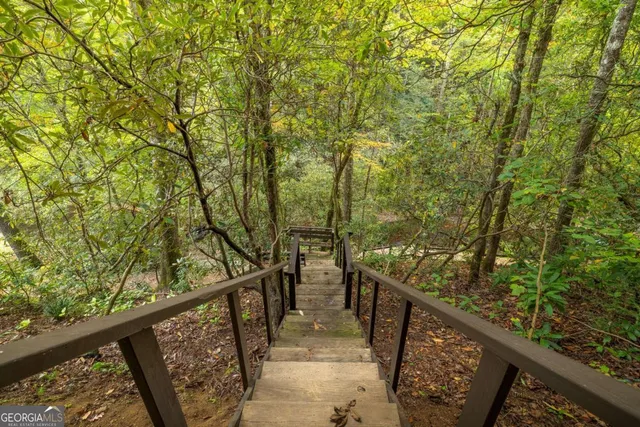 a view of a house with a lush green forest
