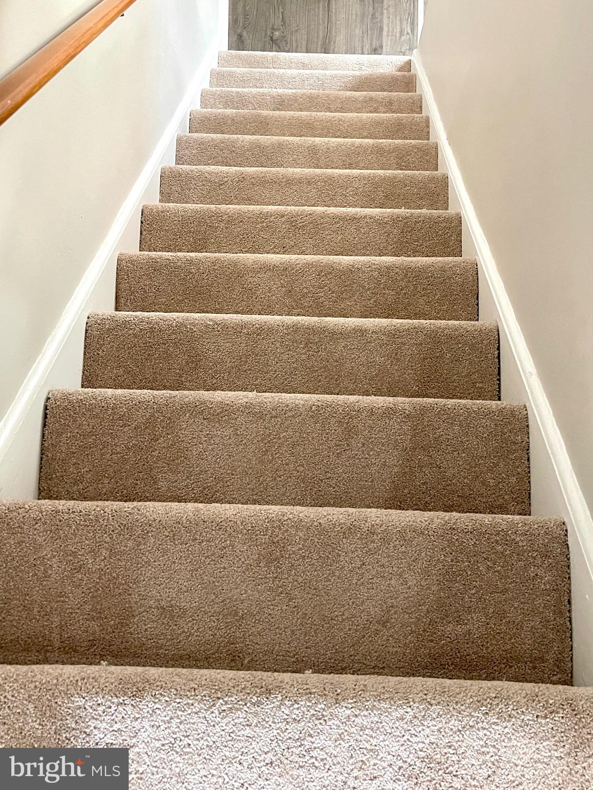 3805 Bartwood Road Baltimore, MD 21215 - Photo 57 of 76 Brand new carpet on upper stairs