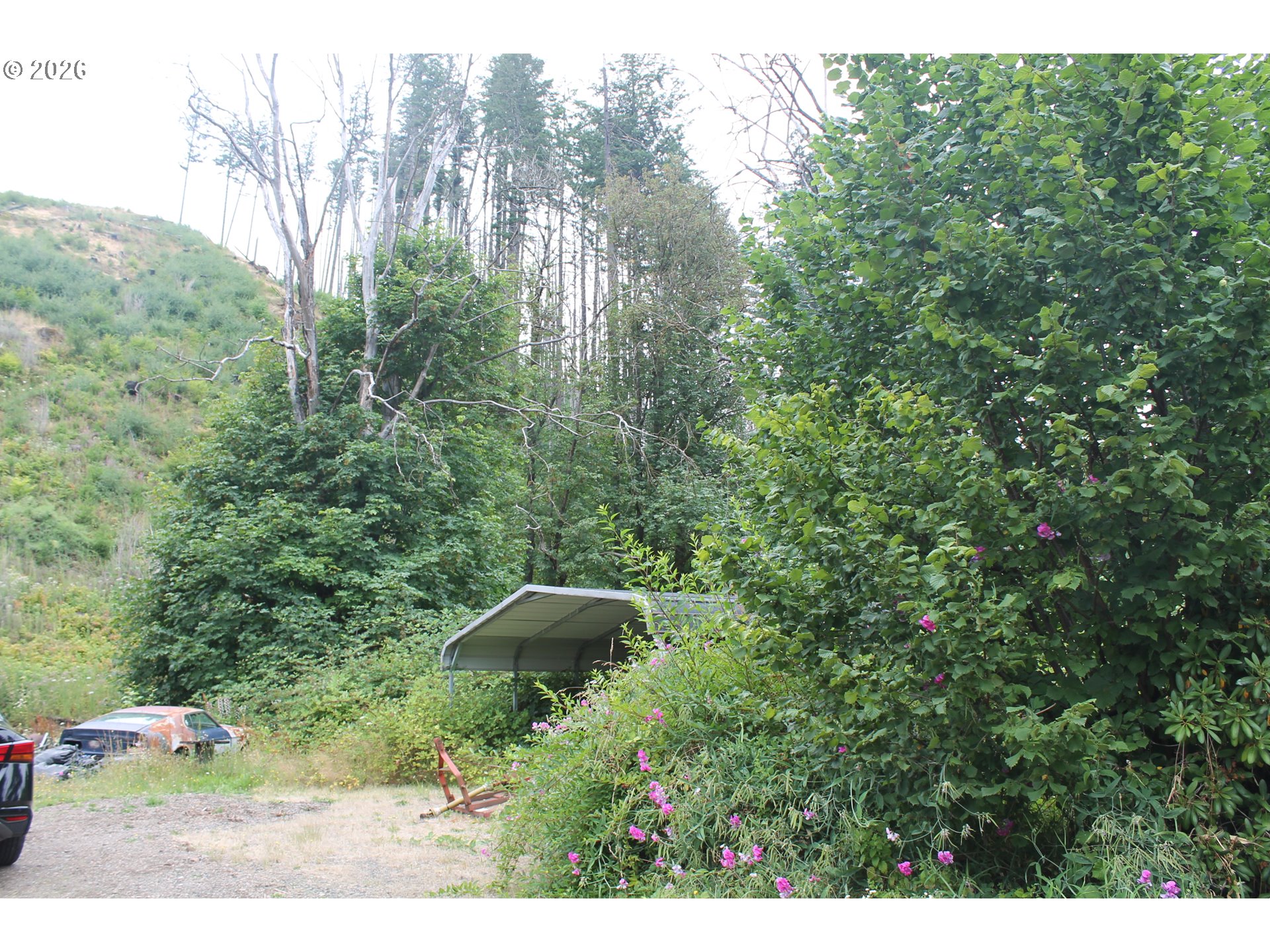 22951 South Cadonau Road Estacada, OR 97023 - Photo 5 of 6 Gallery Image 5
