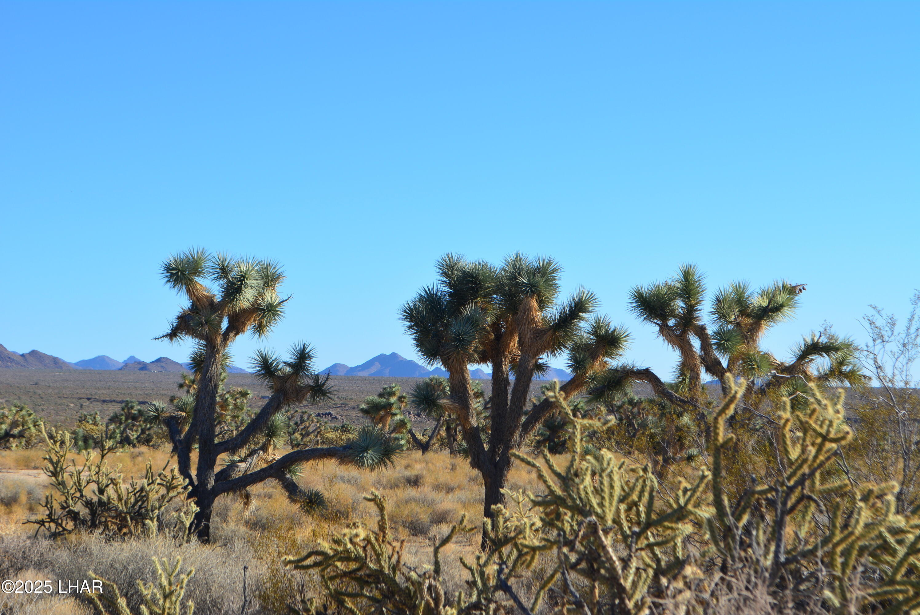 11900 Alan Road Yucca, AZ 86438 - Photo 31 of 93 DSC_0371