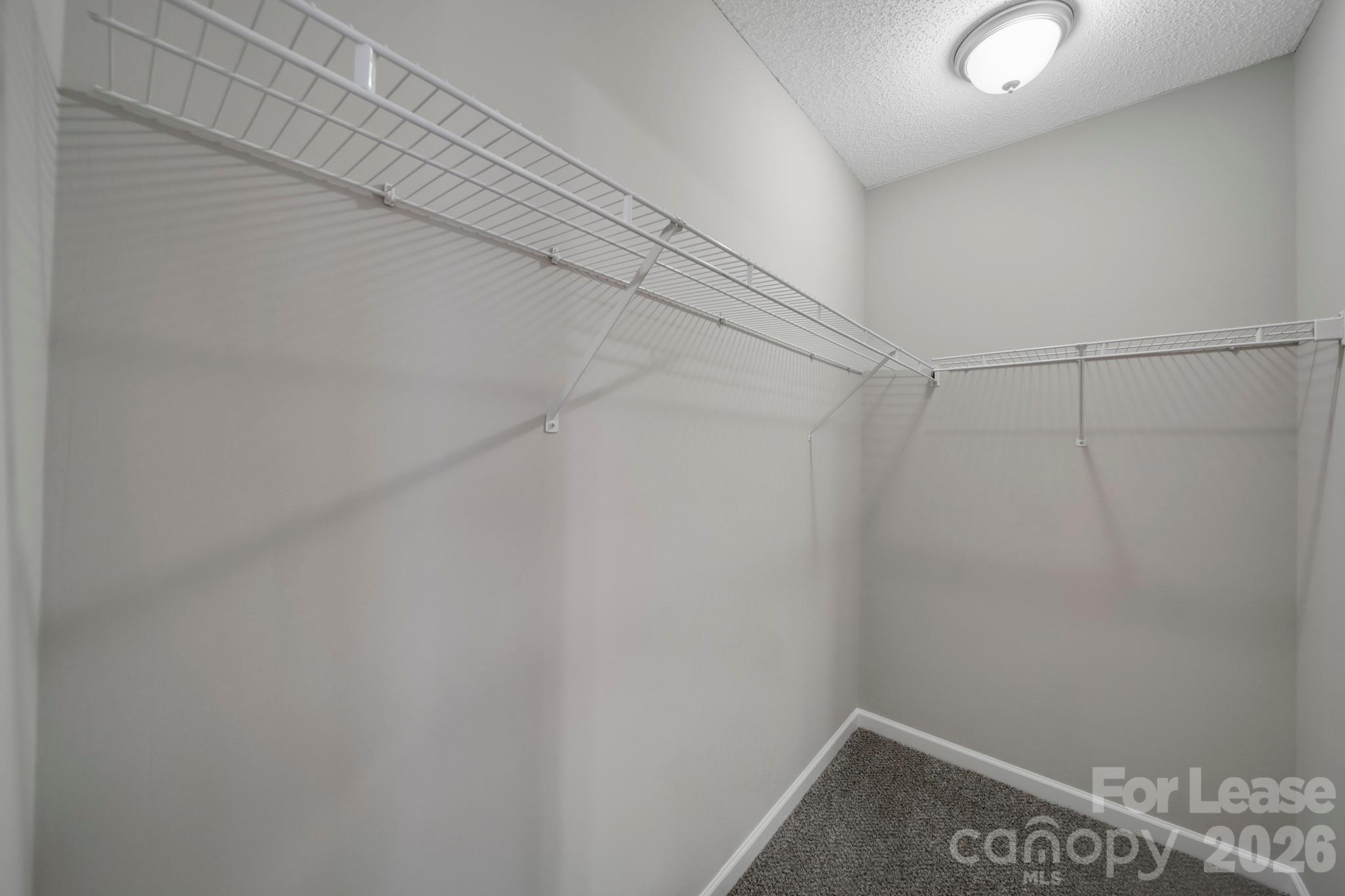 232 Butler Place Fort Mill, SC 29715 - Photo 22 of 31