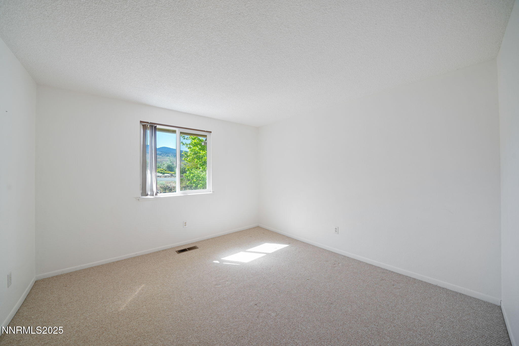 2645 Ravazza Road Reno, NV 89521 - Photo 24 of 50 49-2645 Ravazza Road-19