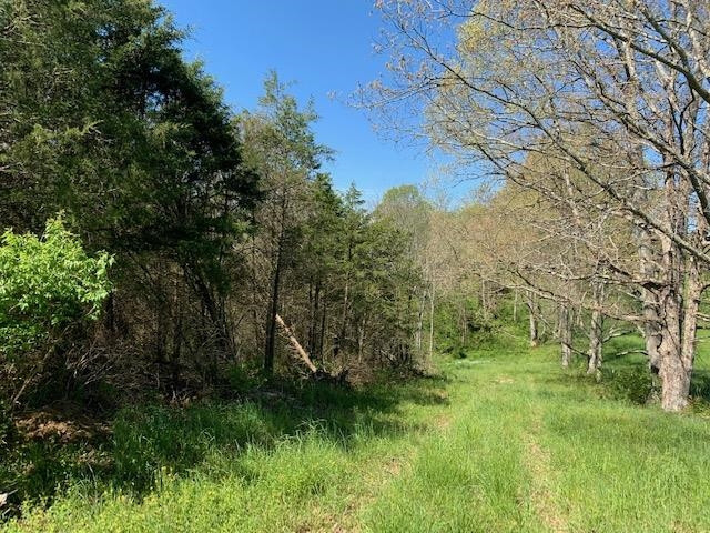 Hammond School Road Owenton, KY 40359 - Photo 6 of 11 Gallery Image 6