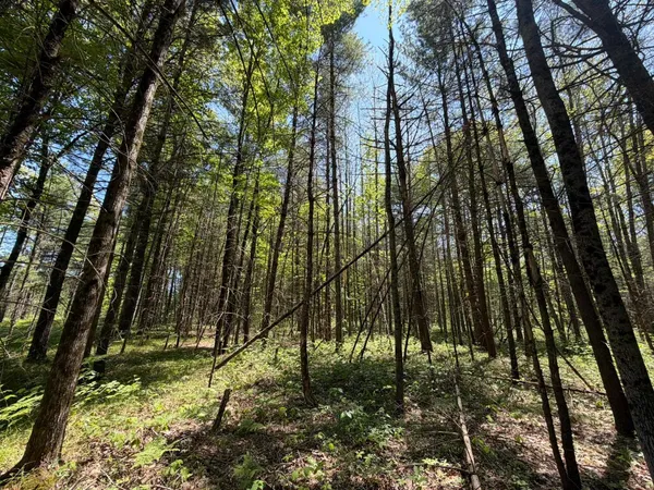 $120,000 | V/l V/l Us-10, Baldwin, MI 49304