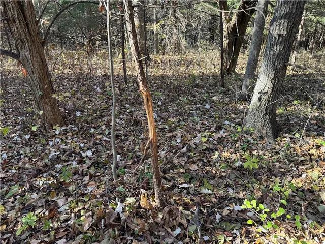 $1,056,000 | 13 Hwy Pattonsburg Mo 64670 Highway, Pattonsburg, MO 64670