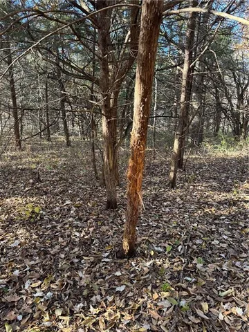 $1,056,000 | 13 Hwy Pattonsburg Mo 64670 Highway, Pattonsburg, MO 64670