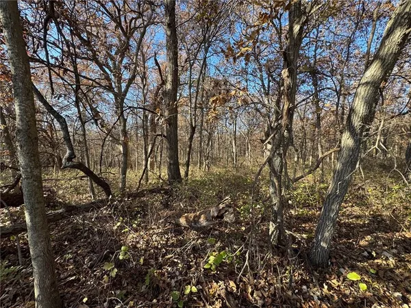 $1,056,000 | 13 Hwy Pattonsburg Mo 64670 Highway, Pattonsburg, MO 64670