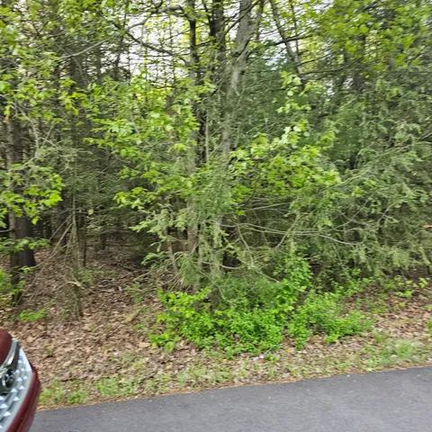 $9,900 | 211 Alter Avenue, Pocono Summit, PA 18346