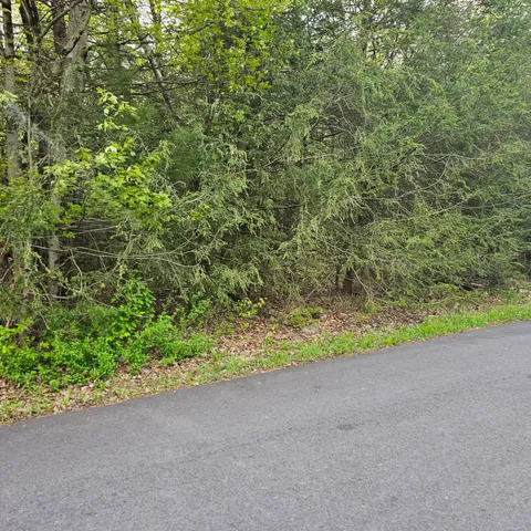 $9,900 | 211 Alter Avenue, Pocono Summit, PA 18346