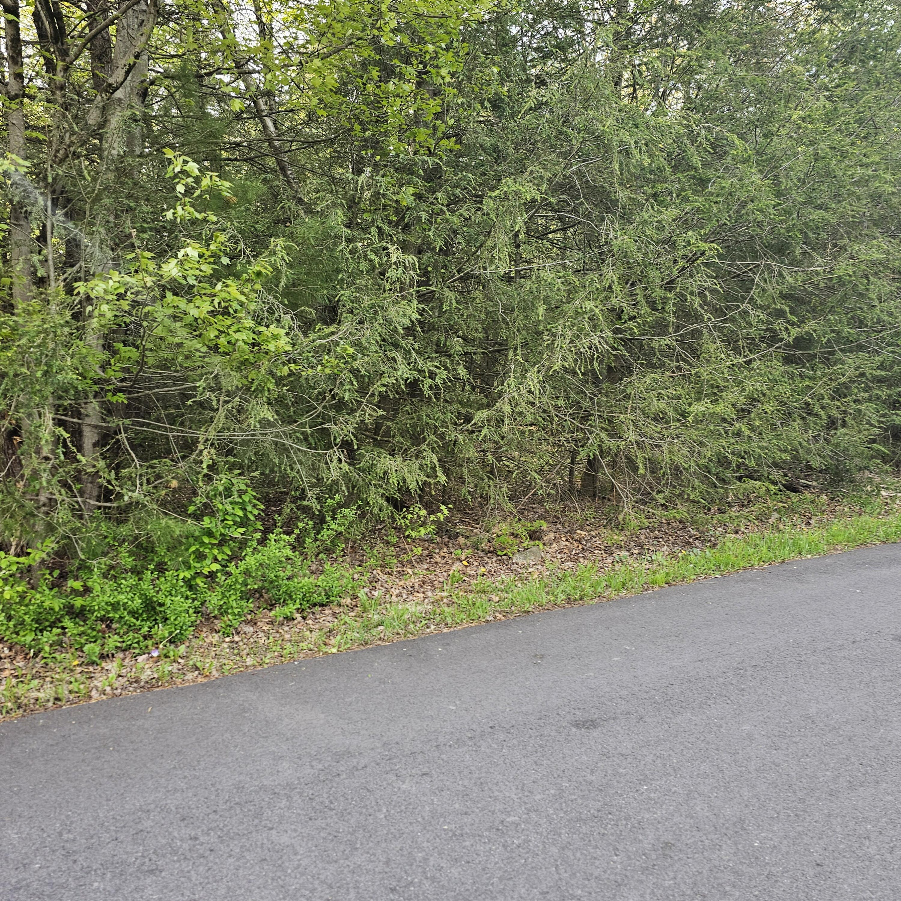 211 Alter Avenue Pocono Summit, PA 18346 - Photo 7 of 8 20250512_174216