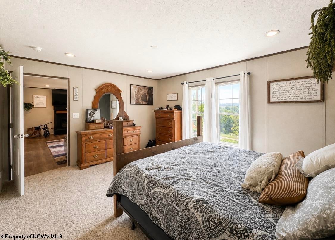 322 Old Acres Road Jane Lew, WV 26378 - Photo 10 of 15 Gallery Image 10