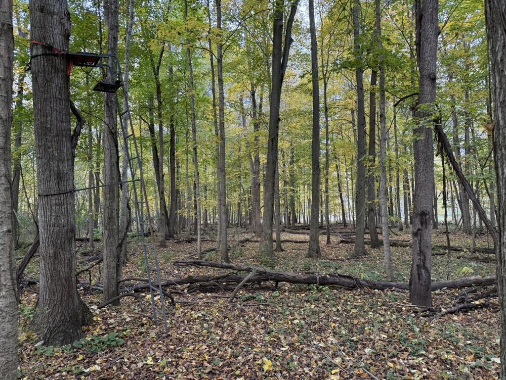 2255 River Road Hastings, MI 49058 - Photo 89 of 94