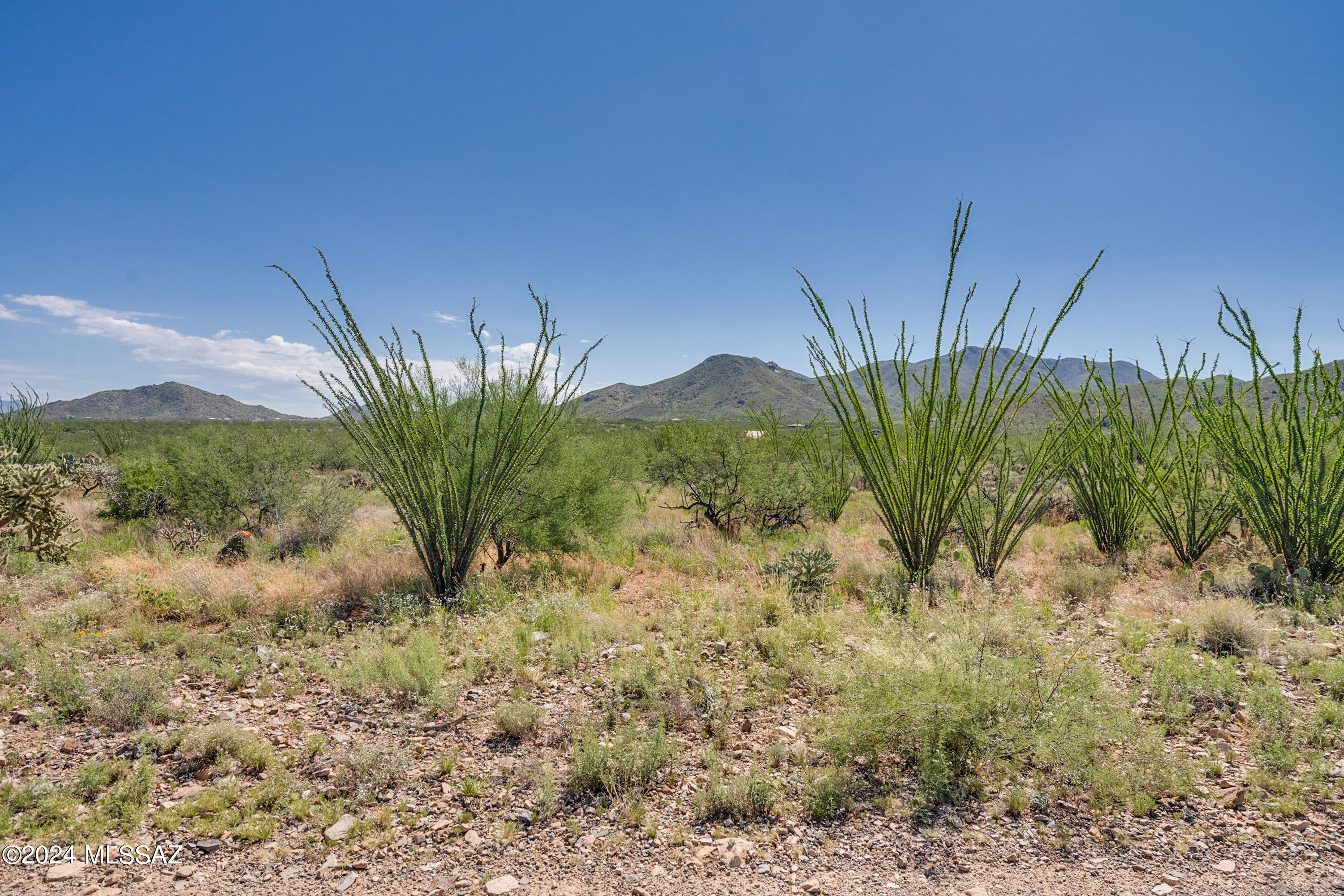 9789 East Ocotillo Rim Trail Vail, AZ 85641 - Photo 20 of 29 Ocotillo Rim Trl-2