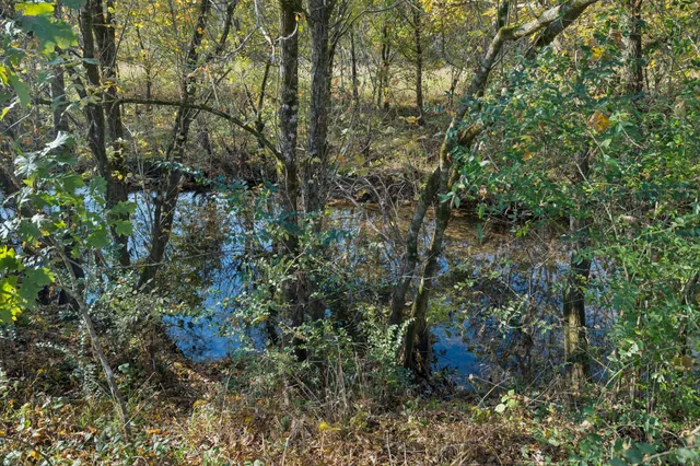 $245,000 | 1572 Big Dry Creek Road, Pulaski, TN 38478