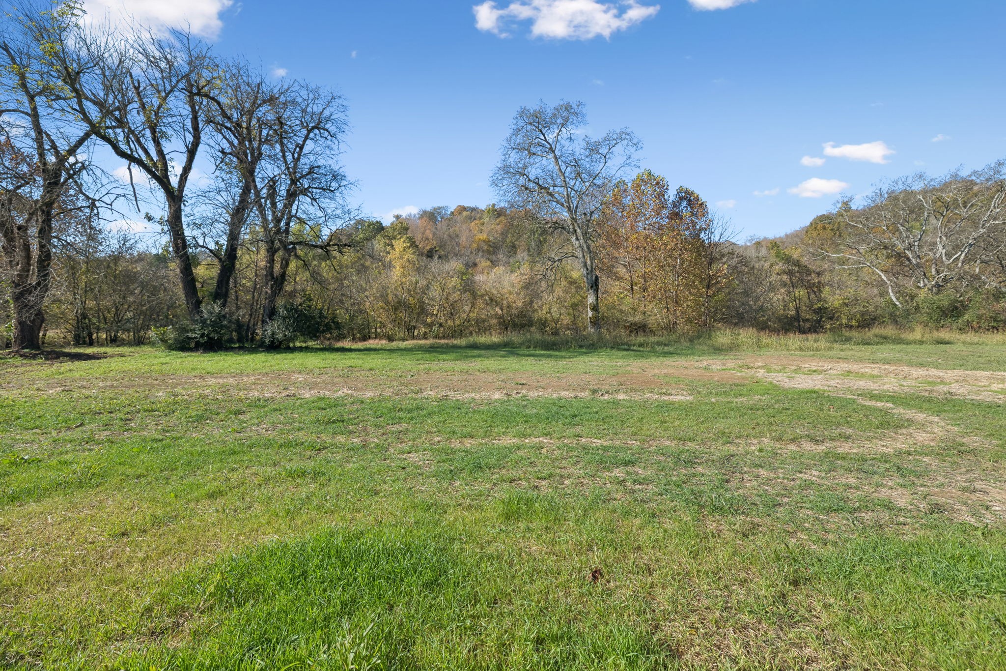 1572 Big Dry Creek Road Pulaski, TN 38478 - Photo 45 of 50