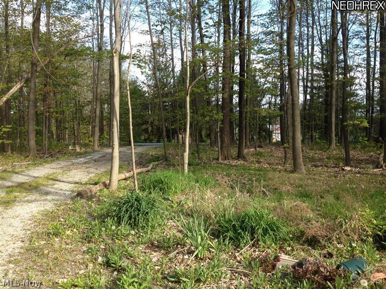 12644 Carter Road Painesville, OH 44077 - Photo 2 of 18 Gallery Image 2