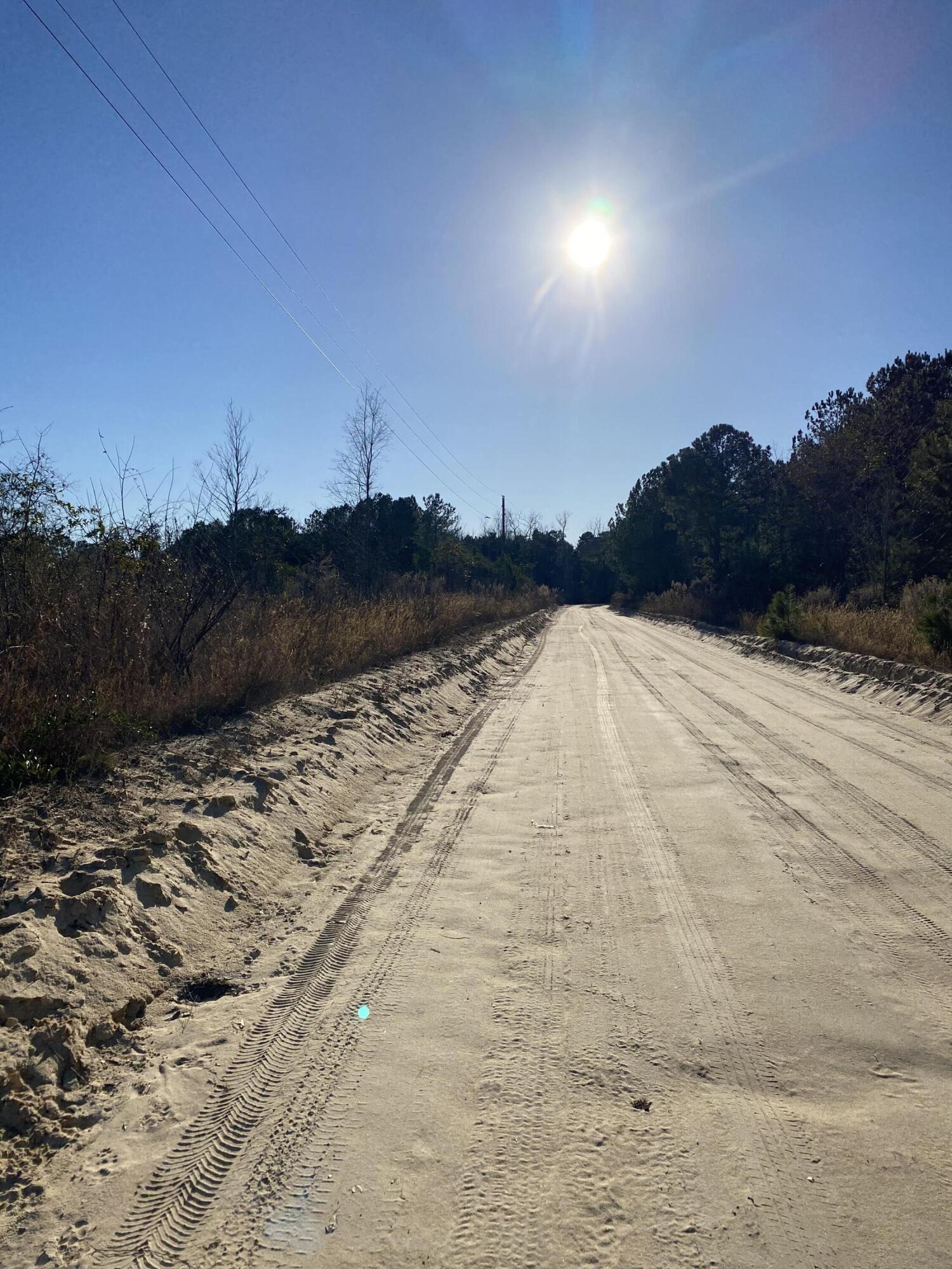 Lot 4 Old Shoals Road Monetta, SC 29105 - Photo 18 of 18