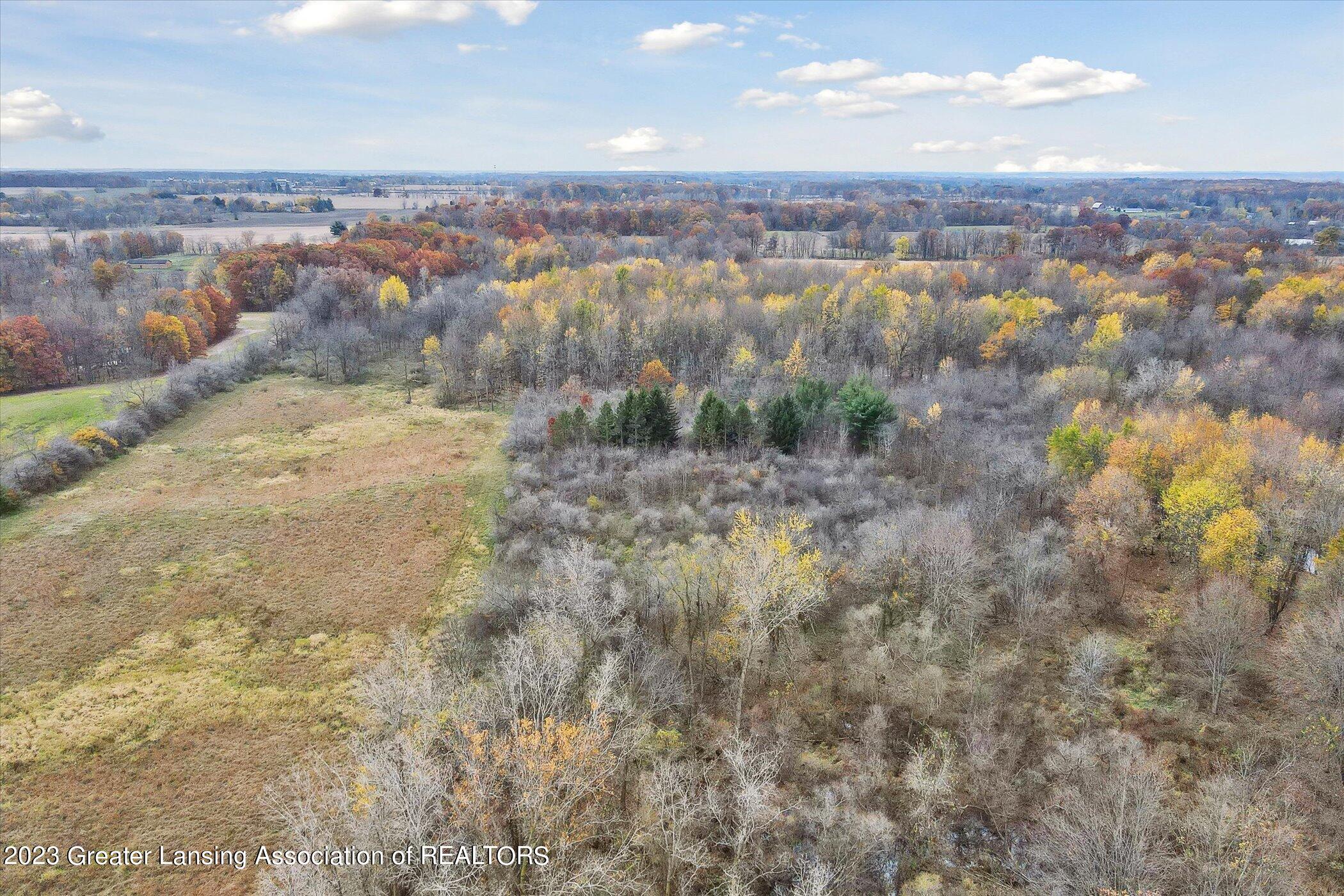 7461 West Chadwick Road Dewitt, MI 48820 - Photo 78 of 80 Aerial