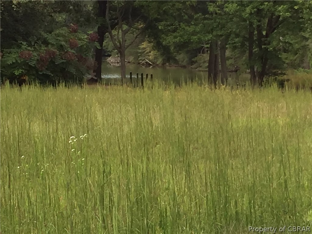 4 Bailey Prong Road Heathsville, VA 22473 - Photo 4 of 10