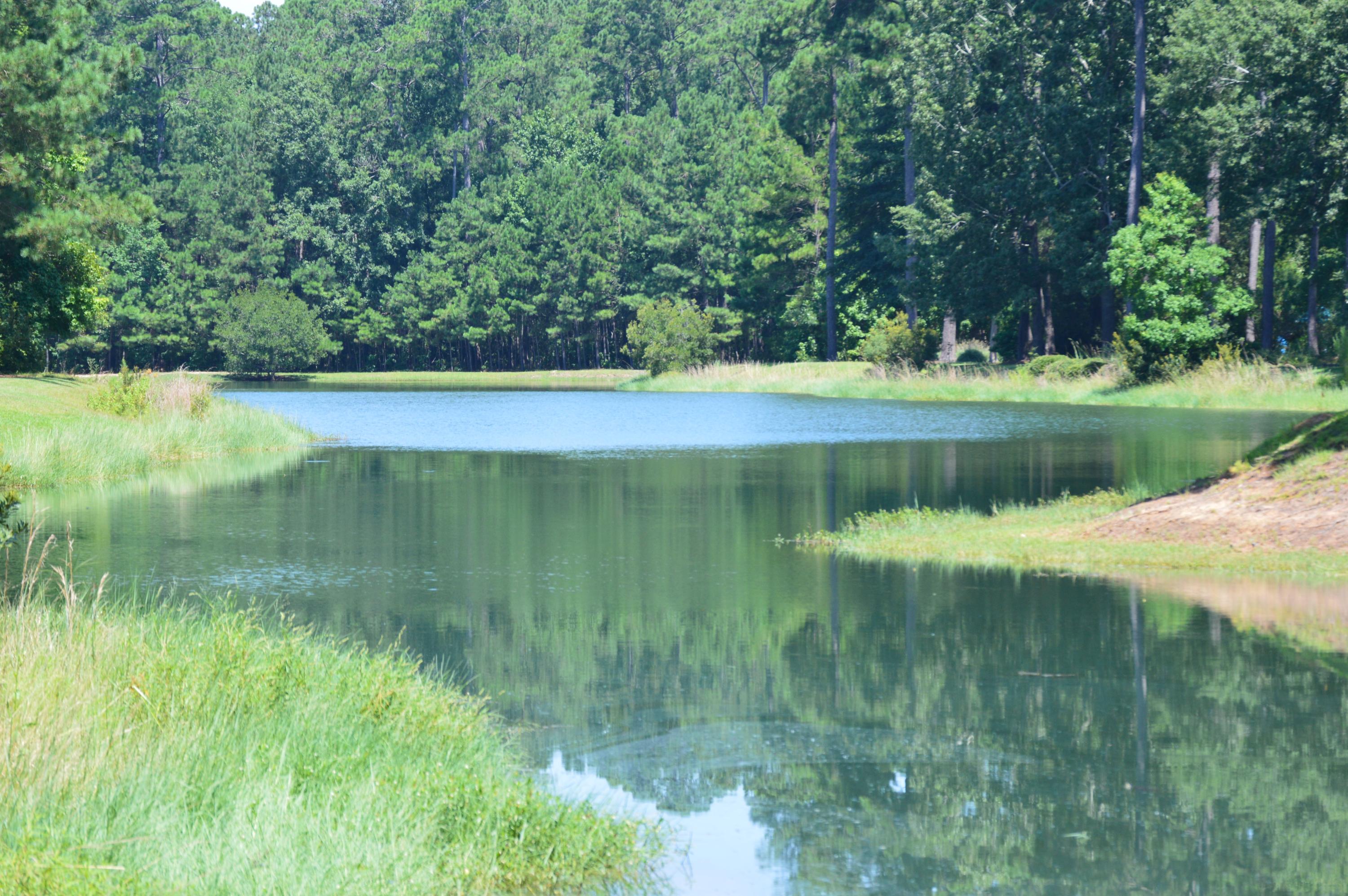 4104 Duck Club Road Hollywood, SC 29470 - Photo 1 of 9 Gorgeous view