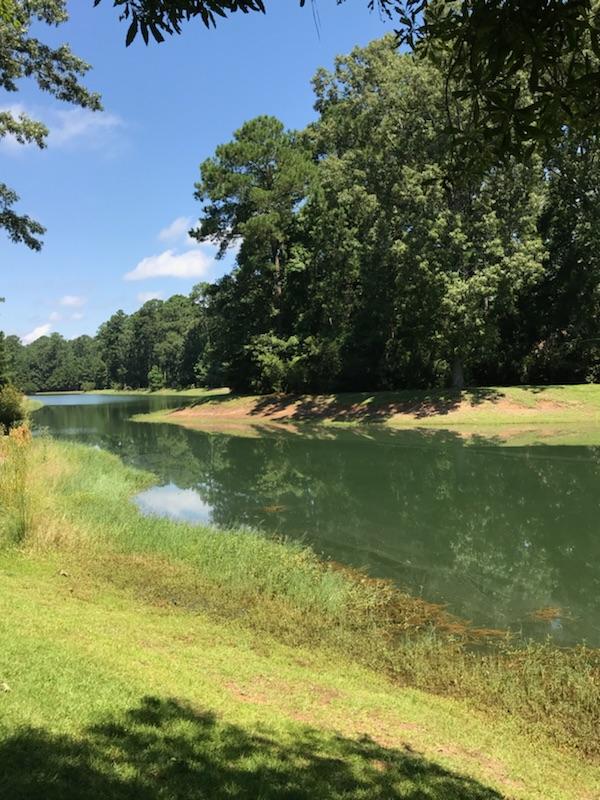 4104 Duck Club Road Hollywood, SC 29470 - Photo 2 of 9 Lush green lot